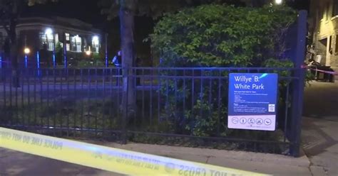Northwestern student, 19, shot at Willye B White Park in Rogers Park